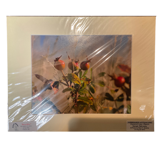 Image Of A Hummingbird Approaching A Berry Plant With A Cream Mat