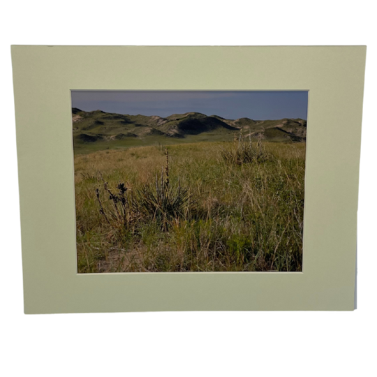 Image Of The Sandhills In Snake River Valley With A Cream Border