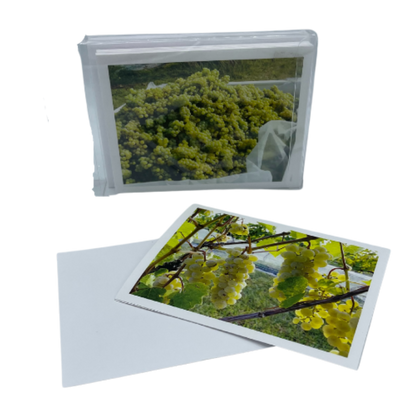 Fhoto Kardz Grape Harvest  | 4x6 Greeting Cards With Envelopes Image Varies