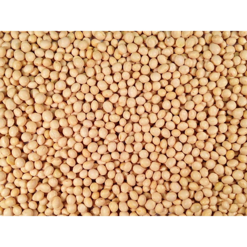 Whole Soybeans | 25 lb. Bag | Shipping Included