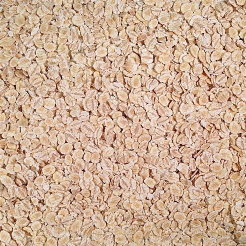 Rolled Barley | 25 lb. Bag | Shipping Included
