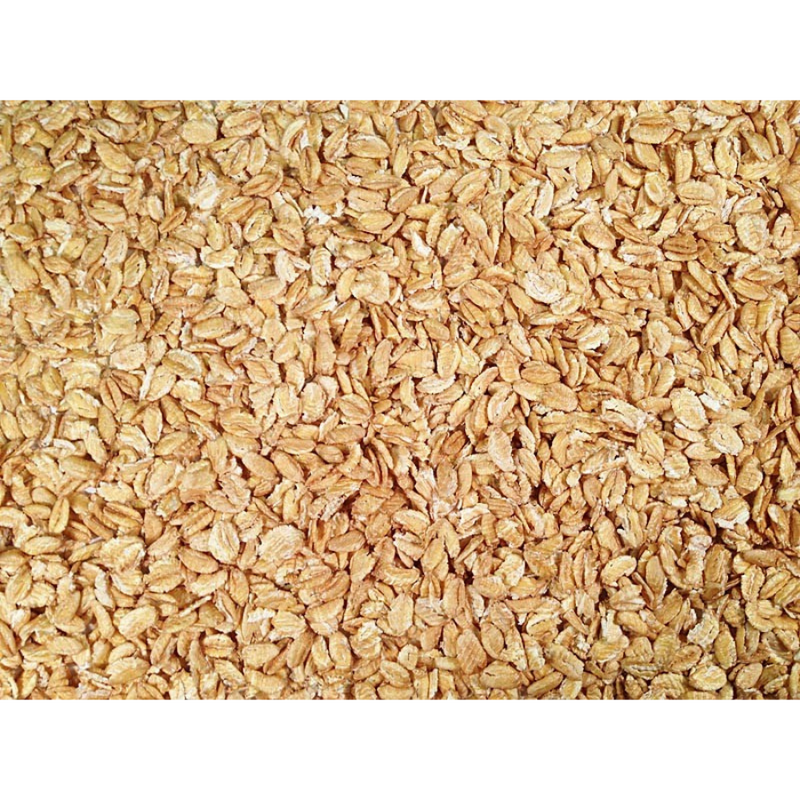 Pile Of Whole, Raw, Organic Kamut Wheat