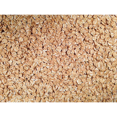Rolled Spelt | 25 lb. Bag | Shipping Included