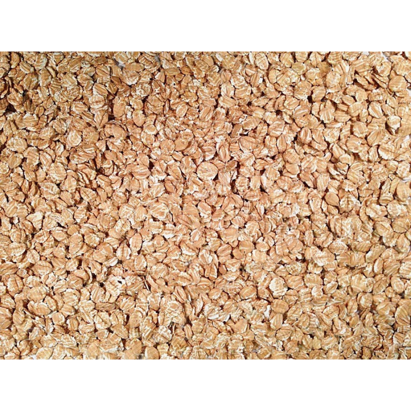 Rolled Spelt | 25 lb. Bag | Shipping Included