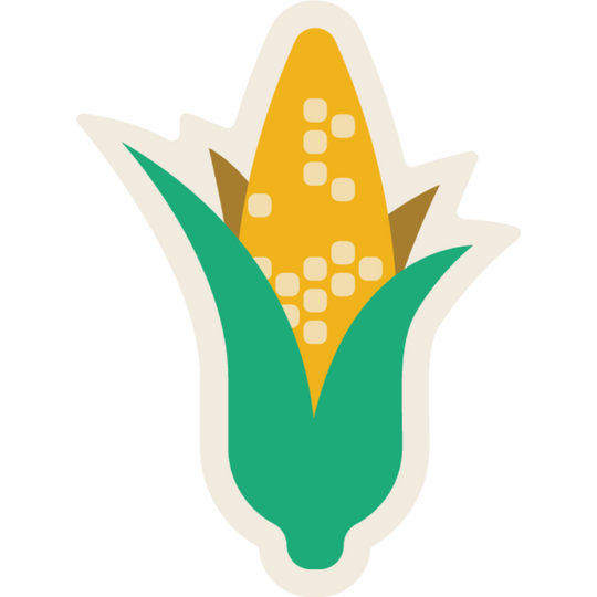 Ear of Corn | Weather Resistant | Nebraska-Inspired Sticker | Perfect For Farmers | Stick On Windows, Water Bottles, & More | Midwest Sticker