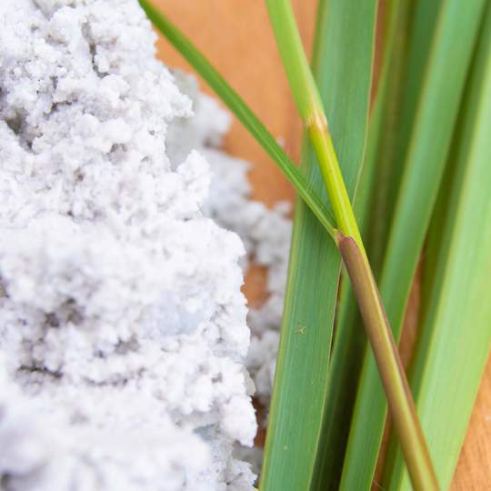 Lemongrass Peppermint Whipped Soap + Scrub | 8 oz | Pacha Soap Company