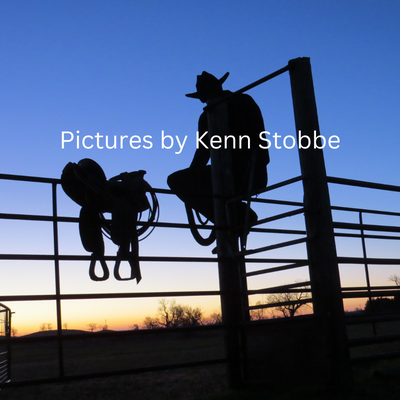 Sunset Fence Line Cowboy | Wood Frame 14 5/8 X19