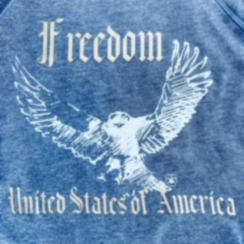 Freedom Sweatshirt | Material Blend | Soft and Light Weight | Multiple Sizes | Gray