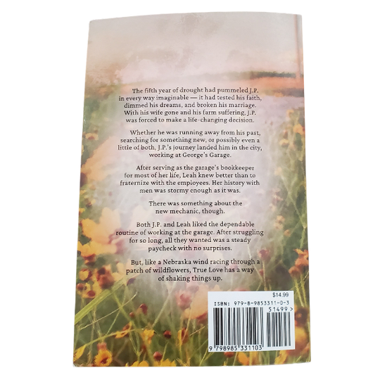 Wildflowers Beyond the Road | Romance Novel | Rural Nebraska | By Ron Dubas