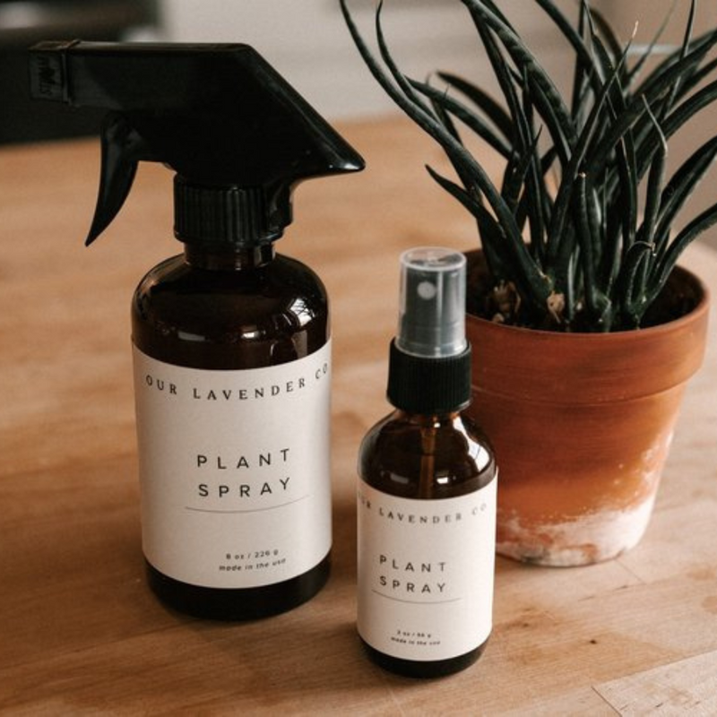 Plant Spray | Lavender Scented Plant Spray | All Natural  Homegrown Lavender | Keep Indoor Pests Away | Keep Plants Happy and Healthy | Multiple Sizes