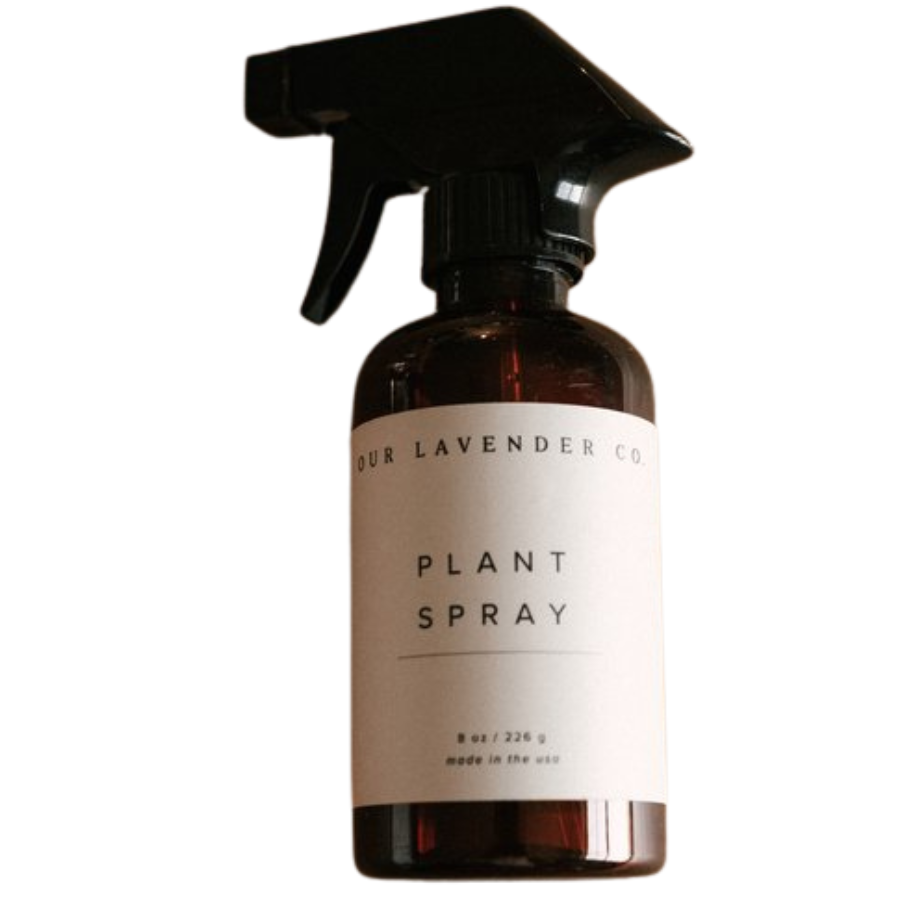 Plant Spray | Lavender Scented Plant Spray | All Natural  Homegrown Lavender | Keep Indoor Pests Away | Keep Plants Happy and Healthy | Multiple Sizes