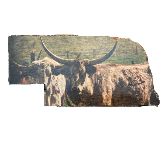 A wooden photo frame in the shape of Nebraska state with an image of longhorn cattle in the background.