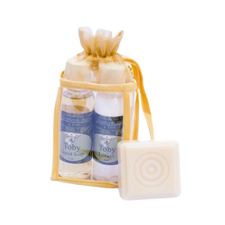 Bath & Body Gift Bag | Small | Multiple Scents | Self Care Package | Perfect Birthday Gift | Includes Lotion, Liquid Soap, and Soap Bar | Ultimate Pampering Combination | Fresh Scents | Affordable, Unique Gift | Cute Gift Bag