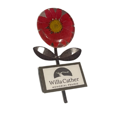 Willa Cather Magnet | Botanical Gardens Memorial Prairie | Hand Pressed Real Flowers | 2.5"X2.5" | Flower Shape
