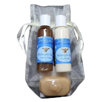 Small Gift Bag | Multiple Scents | Self Care Package | Perfect Birthday Gift | Includes Lotion, Liquid Soap, and Soap Bar | Ultimate Pampering Combination | Fresh Scents | Affordable, Unique Gift | Cute Gift Bag