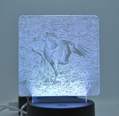 Crane Engraved Acrylic | Round Black Lighted Base